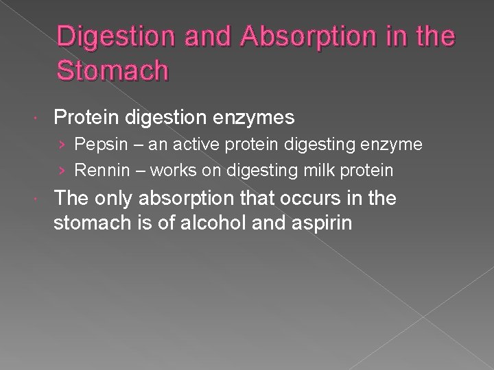 Digestion and Absorption in the Stomach Protein digestion enzymes › Pepsin – an active