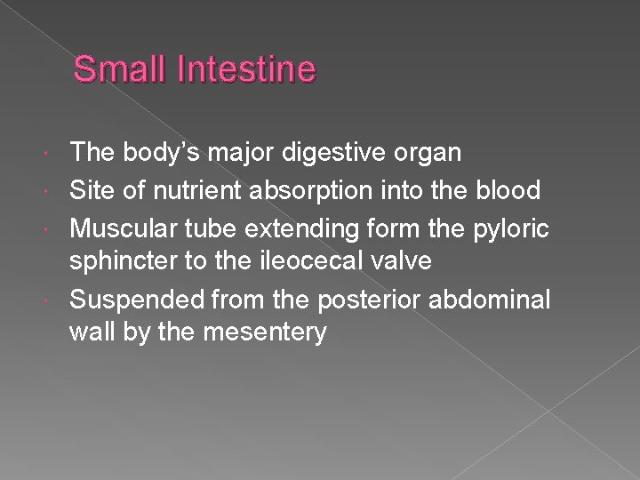 Small Intestine The body’s major digestive organ Site of nutrient absorption into the blood