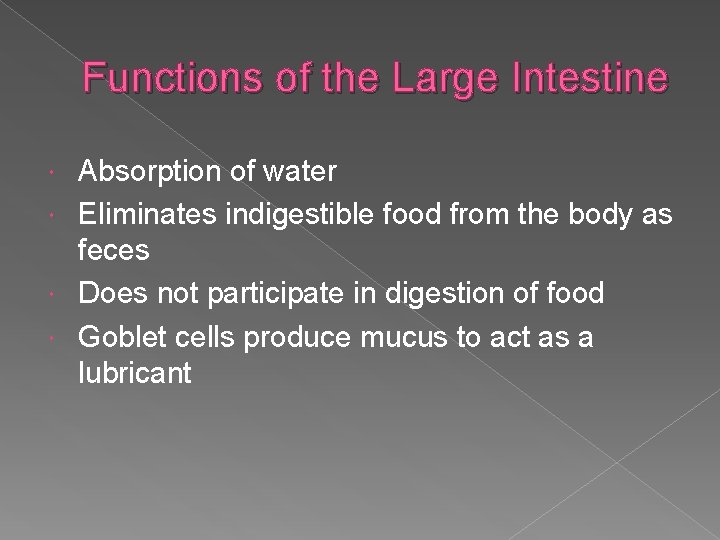 Functions of the Large Intestine Absorption of water Eliminates indigestible food from the body