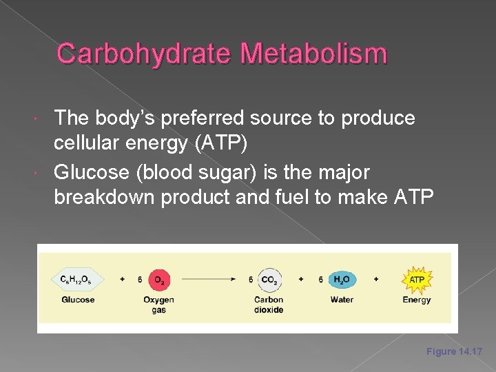 Carbohydrate Metabolism The body’s preferred source to produce cellular energy (ATP) Glucose (blood sugar)