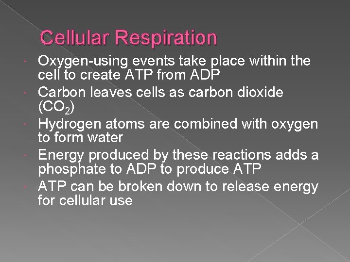 Cellular Respiration Oxygen-using events take place within the cell to create ATP from ADP