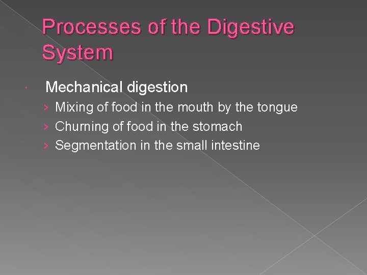 Processes of the Digestive System Mechanical digestion › Mixing of food in the mouth