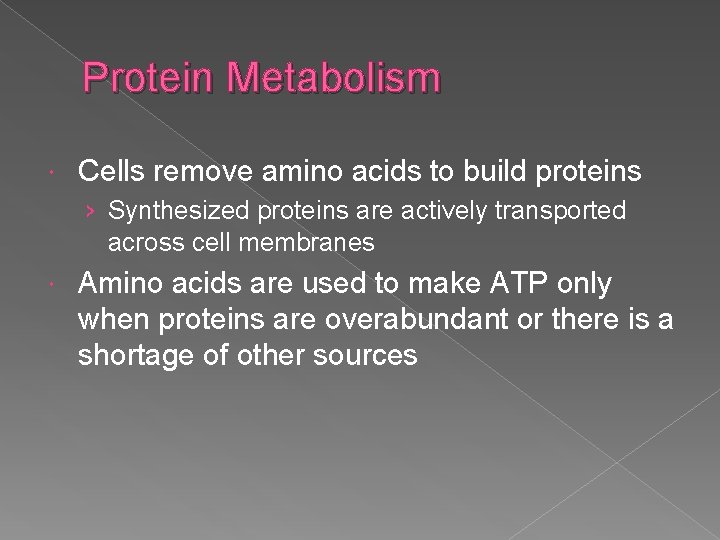 Protein Metabolism Cells remove amino acids to build proteins › Synthesized proteins are actively