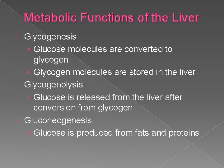 Metabolic Functions of the Liver Glycogenesis › Glucose molecules are converted to glycogen ›