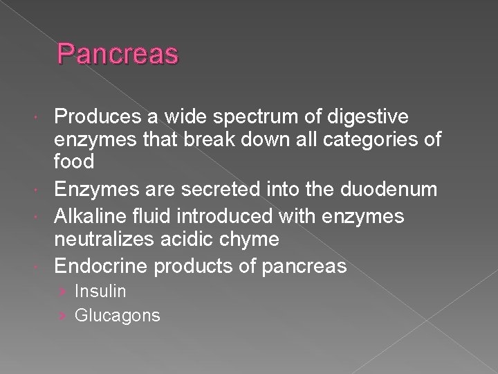 Pancreas Produces a wide spectrum of digestive enzymes that break down all categories of