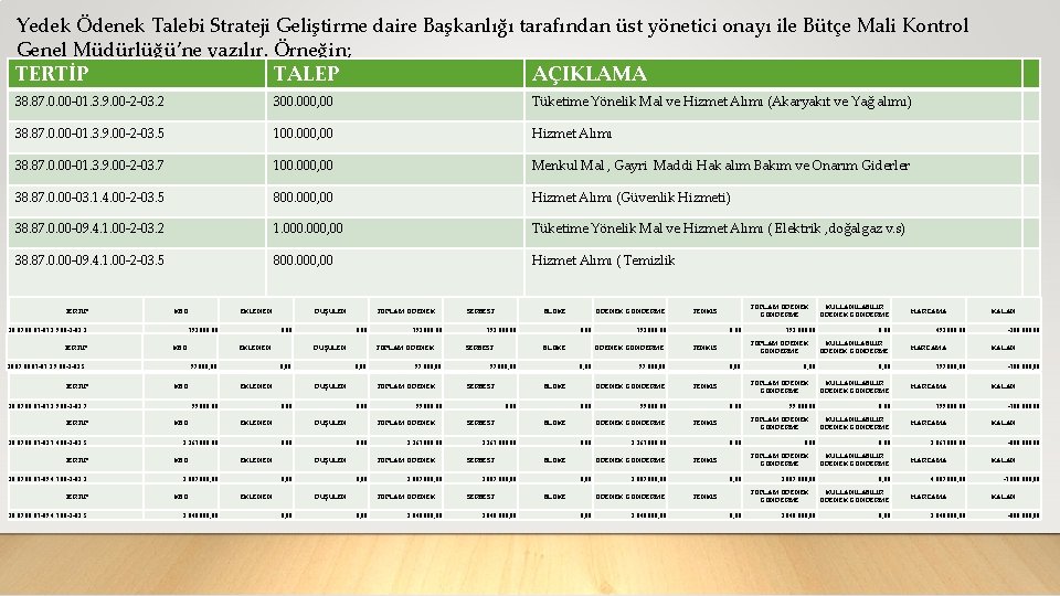 Yedek Ödenek Talebi Strateji Geliştirme daire Başkanlığı tarafından üst yönetici onayı ile Bütçe Mali