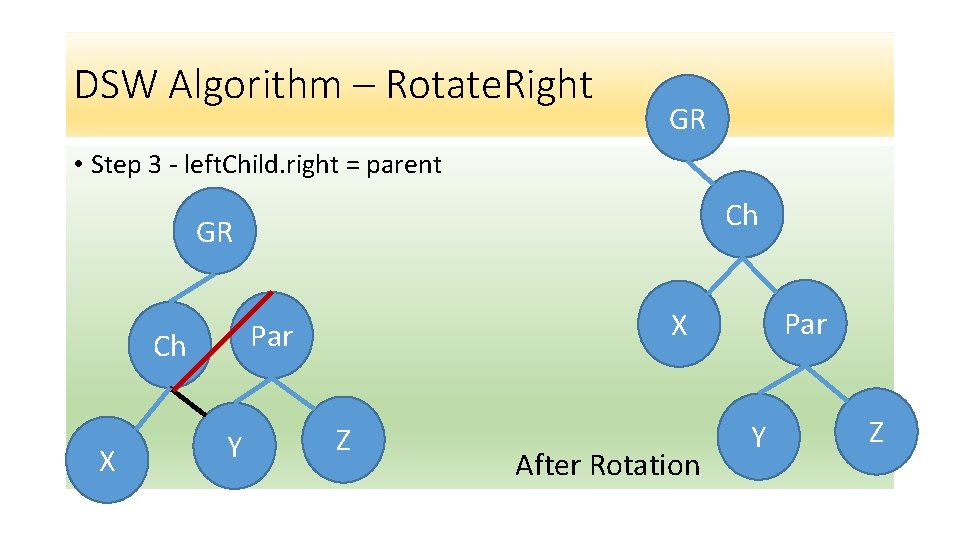 DSW Algorithm – Rotate. Right GR • Step 3 - left. Child. right = DSW Algorithm – Rotate. Right GR • Step 3 - left. Child. right =