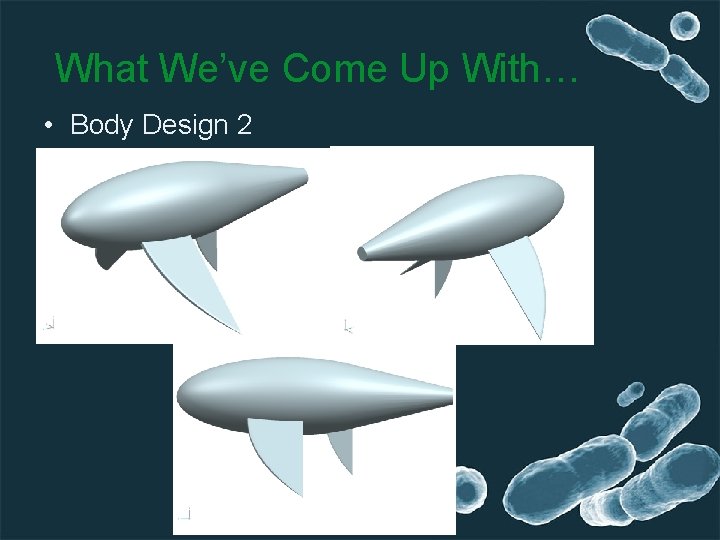 What We’ve Come Up With… • Body Design 2 
