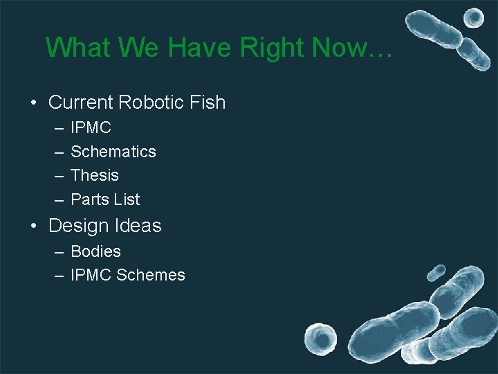 What We Have Right Now… • Current Robotic Fish – – IPMC Schematics Thesis