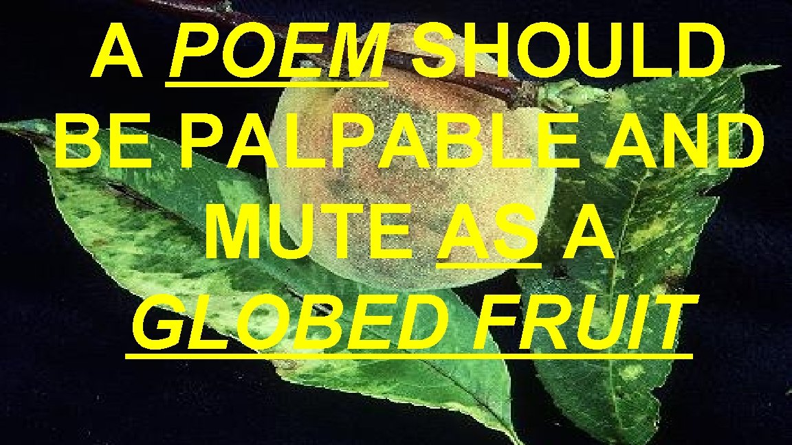 A POEM SHOULD BE PALPABLE AND MUTE AS A GLOBED FRUIT A POEM SHOULD BE PALPABLE AND MUTE AS A GLOBED FRUIT