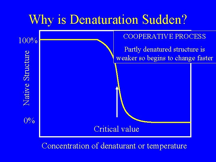 Why is Denaturation Sudden? Native Structure 100% 0% COOPERATIVE PROCESS Partly denatured structure is