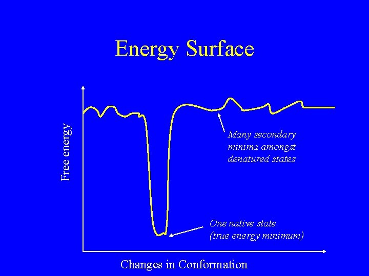 Free energy Energy Surface Many secondary minima amongst denatured states One native state (true