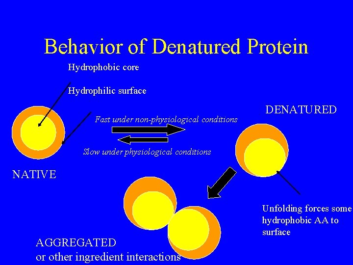 Behavior of Denatured Protein Hydrophobic core Hydrophilic surface Fast under non-physiological conditions DENATURED Slow