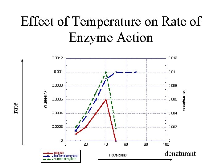 rate Effect of Temperature on Rate of Enzyme Action denaturant 