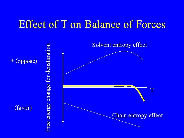 + (oppose) - (favor) Free energy change for denaturation Effect of T on Balance