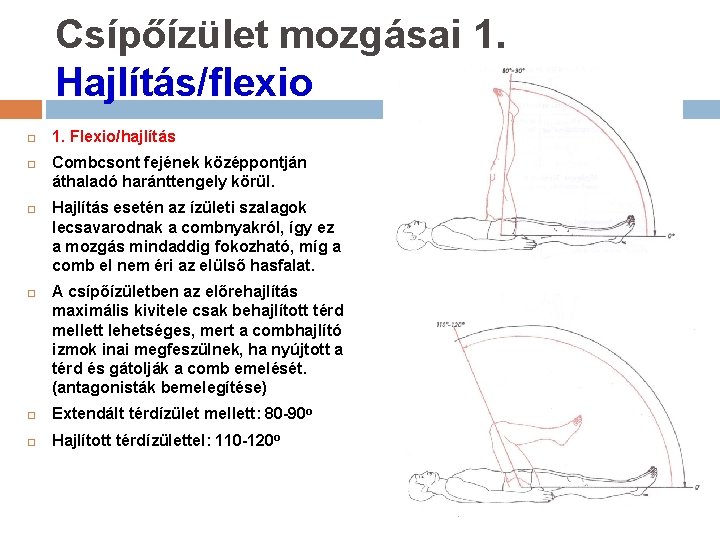 Csípőízület mozgásai 1. Hajlítás/flexio 1. Flexio/hajlítás Combcsont fejének középpontján áthaladó haránttengely körül. Hajlítás esetén