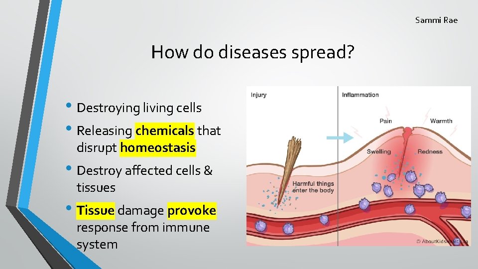 Sammi Rae How do diseases spread? • Destroying living cells • Releasing chemicals that