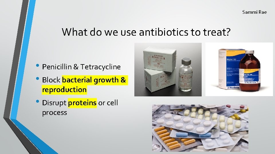 Sammi Rae What do we use antibiotics to treat? • Penicillin & Tetracycline •