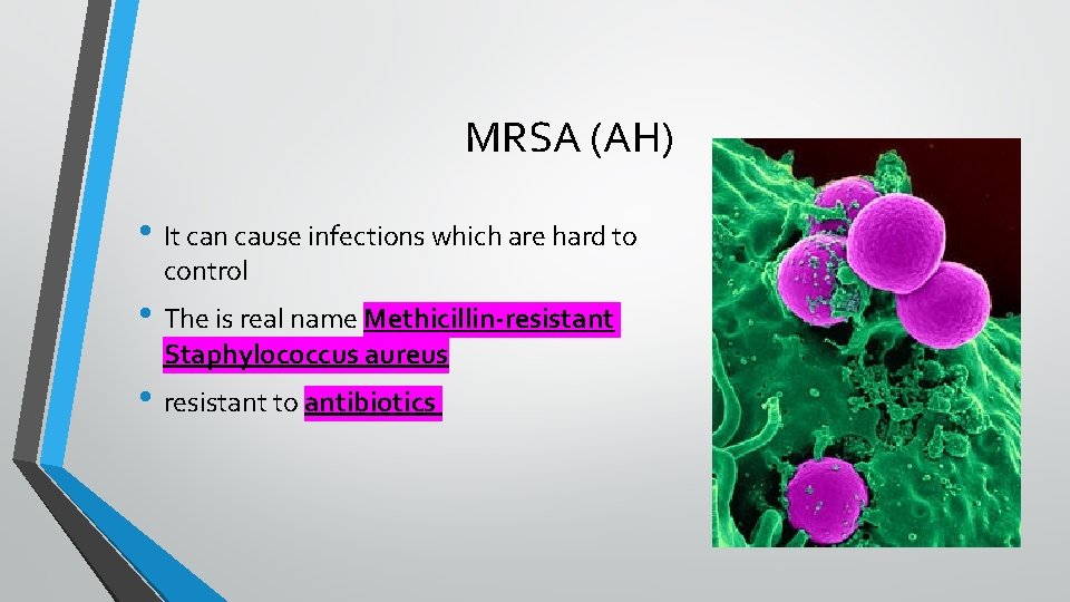 MRSA (AH) • It can cause infections which are hard to control • The