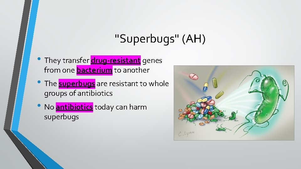 "Superbugs" (AH) • They transfer drug-resistant genes from one bacterium to another • The