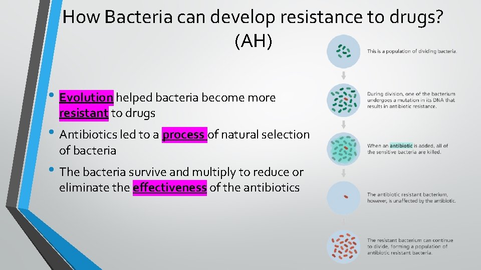 How Bacteria can develop resistance to drugs? (AH) • Evolution helped bacteria become more