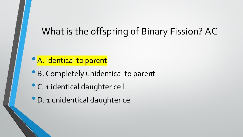 What is the offspring of Binary Fission? AC • A. Identical to parent •