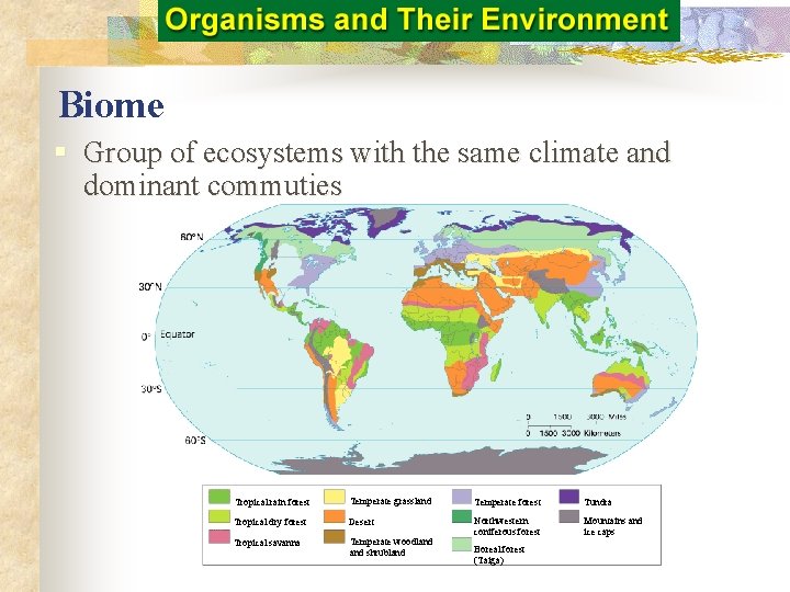 Biome § Group of ecosystems with the same climate and dominant commuties Tropical rain