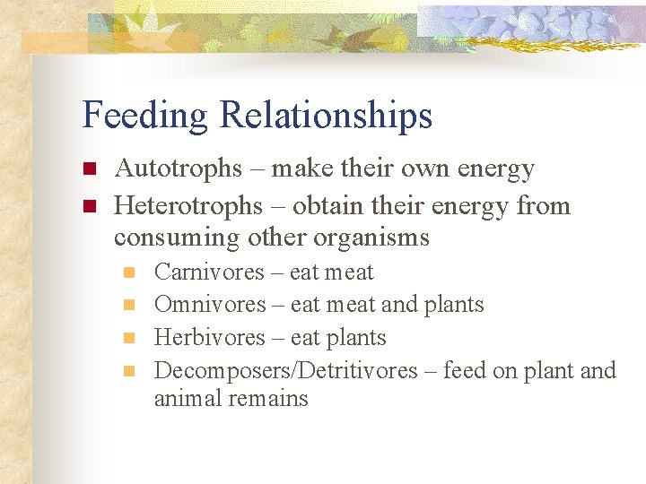 Feeding Relationships n n Autotrophs – make their own energy Heterotrophs – obtain their