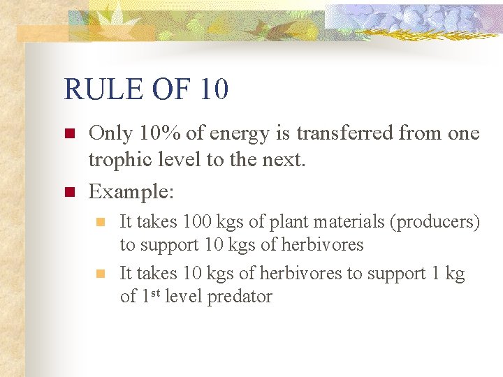 RULE OF 10 n n Only 10% of energy is transferred from one trophic