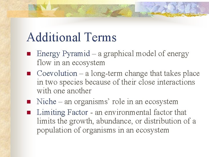 Additional Terms n n Energy Pyramid – a graphical model of energy flow in