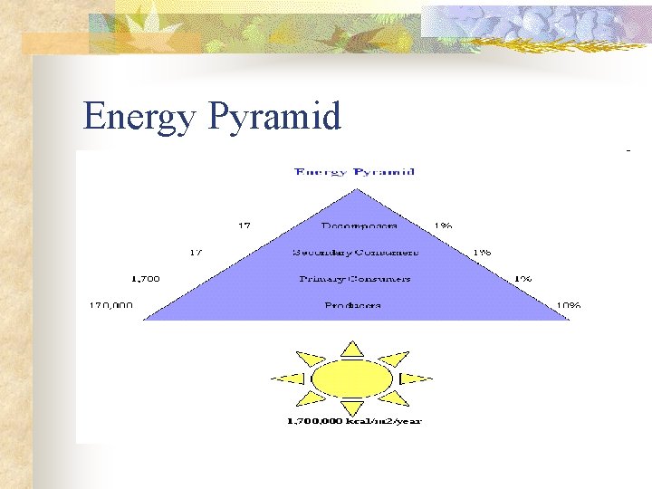 Energy Pyramid 