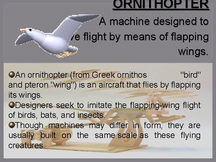 ORNITHOPTER A machine designed to achieve flight by means of flapping wings. An ornithopter