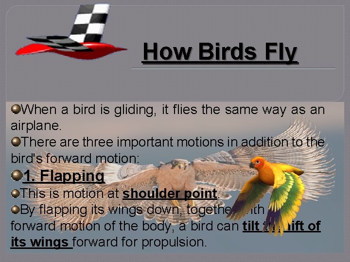 How Birds Fly When a bird is gliding, it flies the same way as