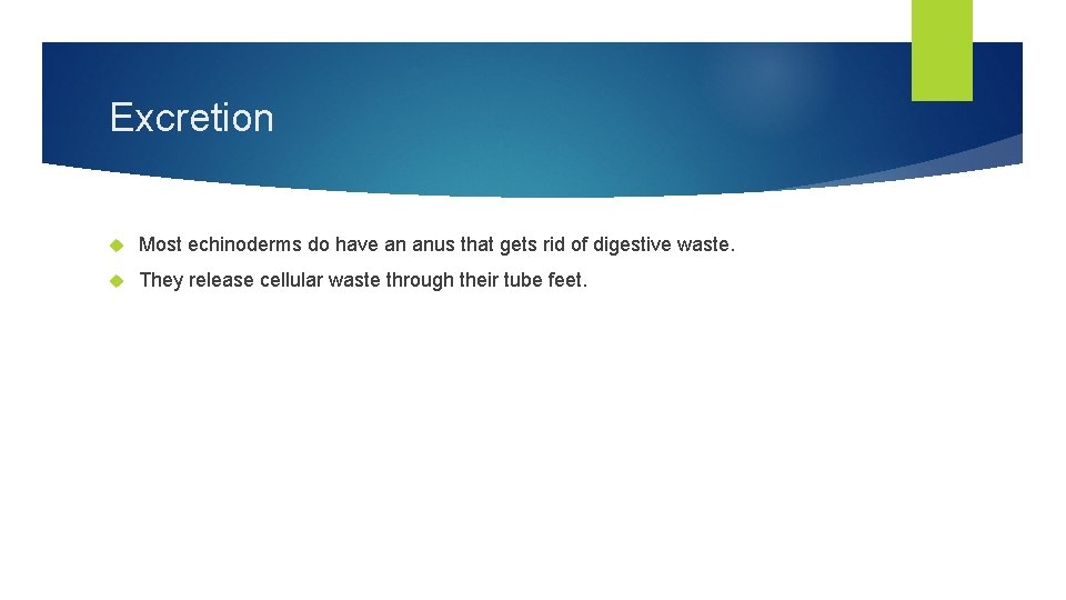 Excretion Most echinoderms do have an anus that gets rid of digestive waste. They