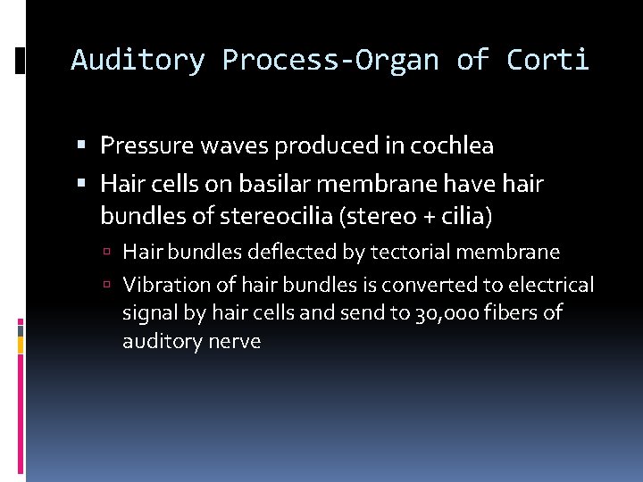 Auditory Process-Organ of Corti Pressure waves produced in cochlea Hair cells on basilar membrane