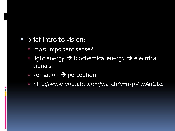  brief intro to vision: most important sense? light energy biochemical energy electrical signals