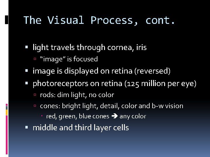 The Visual Process, cont. light travels through cornea, iris “image” is focused image is