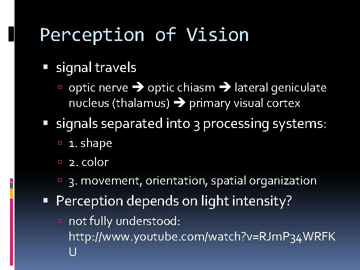 Perception of Vision signal travels optic nerve optic chiasm lateral geniculate nucleus (thalamus) primary