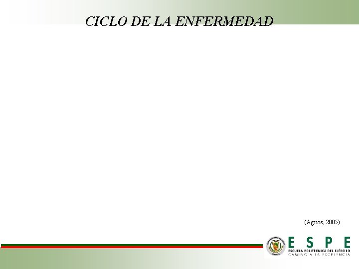 CICLO DE LA ENFERMEDAD (Agrios, 2005) 