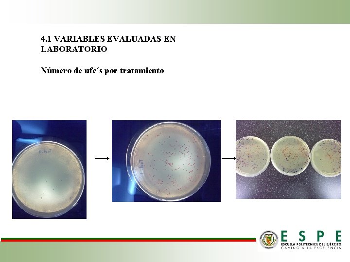 4. 1 VARIABLES EVALUADAS EN LABORATORIO Número de ufc´s por tratamiento 