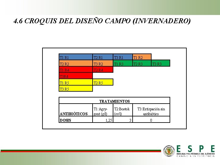 4. 6 CROQUIS DEL DISEÑO CAMPO (INVERNADERO) T 1 R 1 T 2 R