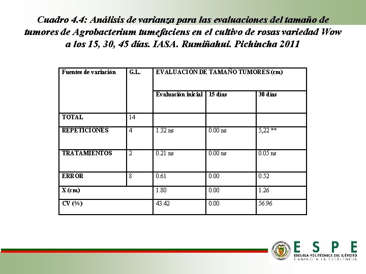 Cuadro 4. 4: Análisis de varianza para las evaluaciones del tamaño de tumores de