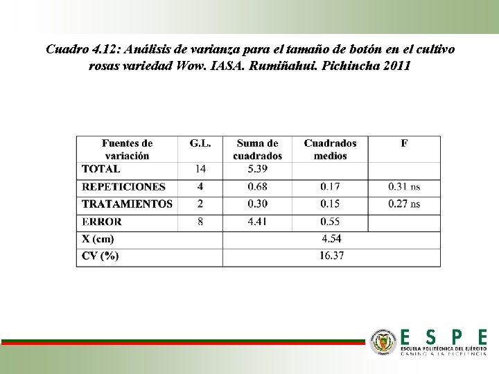 Cuadro 4. 12: Análisis de varianza para el tamaño de botón en el cultivo