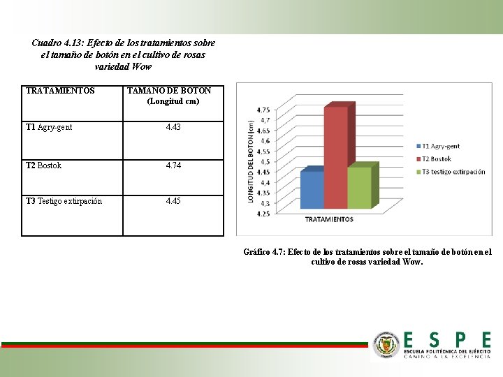 Cuadro 4. 13: Efecto de los tratamientos sobre el tamaño de botón en el