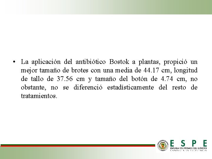  • La aplicación del antibiótico Bostok a plantas, propició un mejor tamaño de
