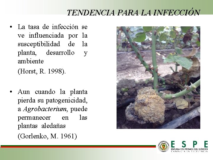 TENDENCIA PARA LA INFECCIÓN • La tasa de infección ve influenciada por susceptibilidad de