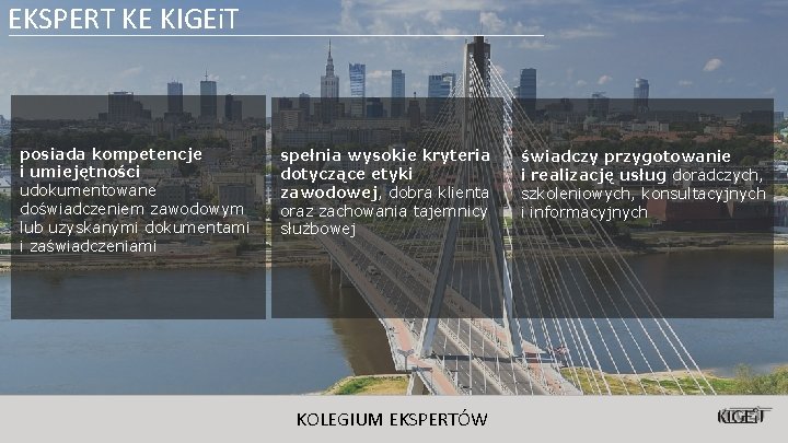 EKSPERT KE KIGEi. T posiada kompetencje i umiejętności udokumentowane doświadczeniem zawodowym lub uzyskanymi dokumentami