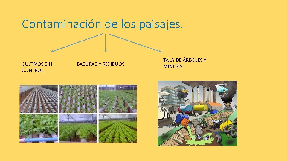 Contaminación de los paisajes. CULTIVOS SIN CONTROL BASURAS Y RESIDUOS TALA DE ÁRBOLES Y