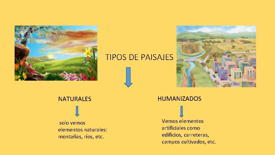 TIPOS DE PAISAJES NATURALES solo vemos elementos naturales: montañas, ríos, etc. HUMANIZADOS Vemos elementos