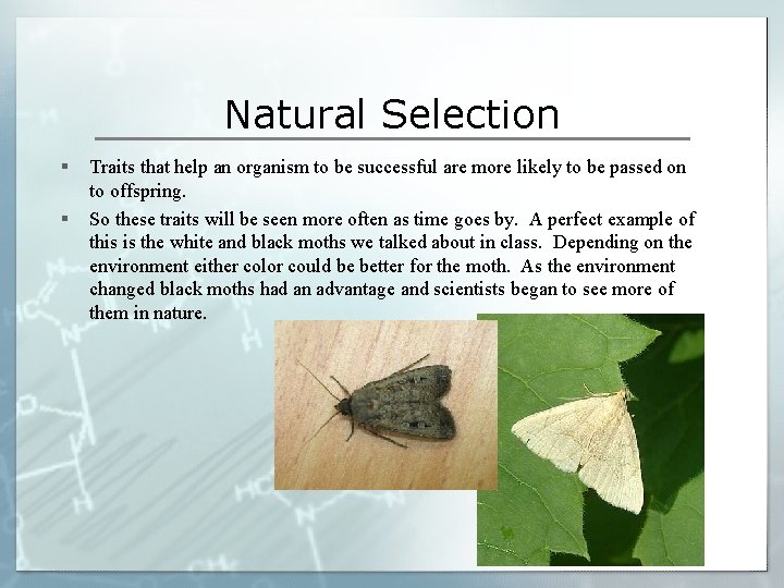 Natural Selection § § Traits that help an organism to be successful are more